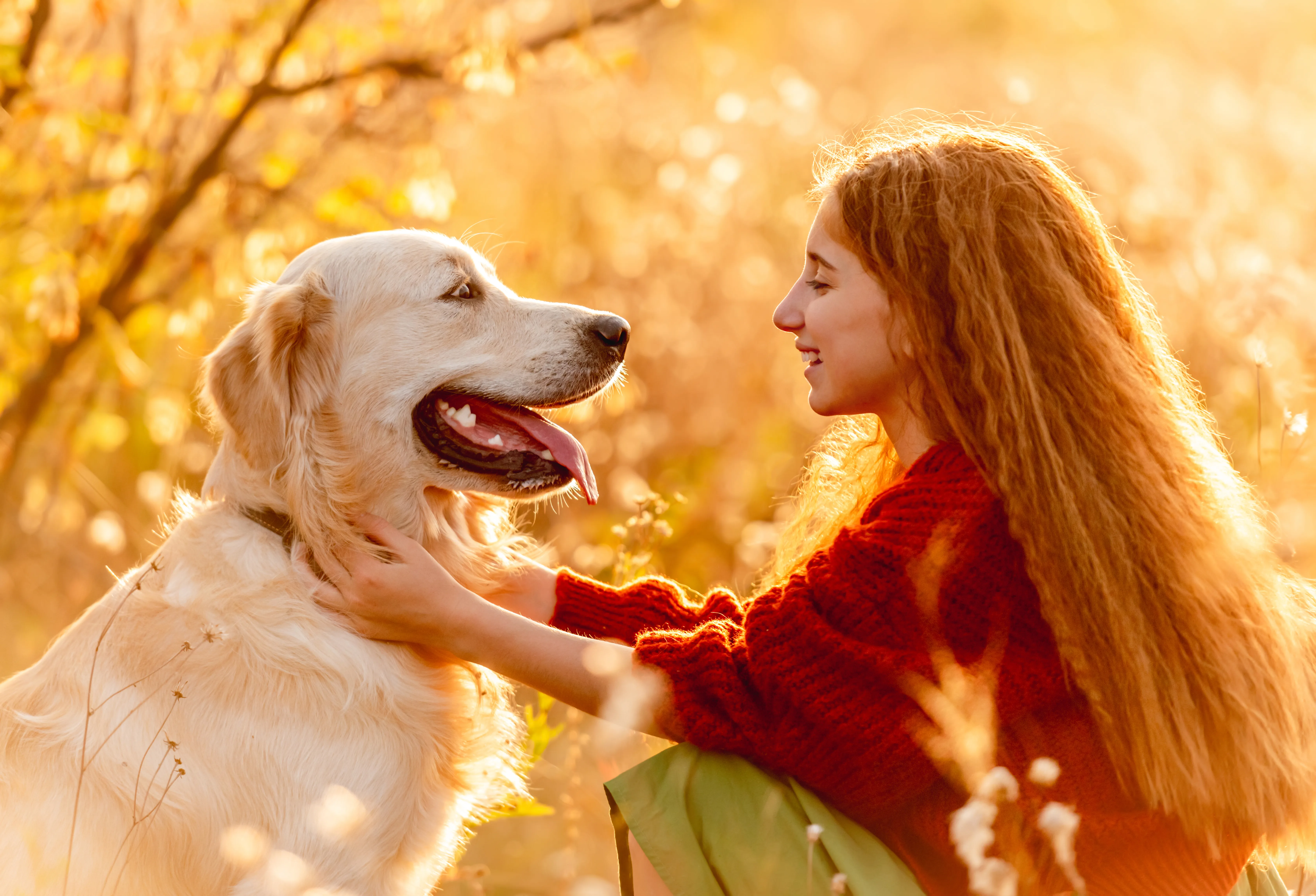 Pet Zodiac Signs: Understanding Your Dog is a Great Fit