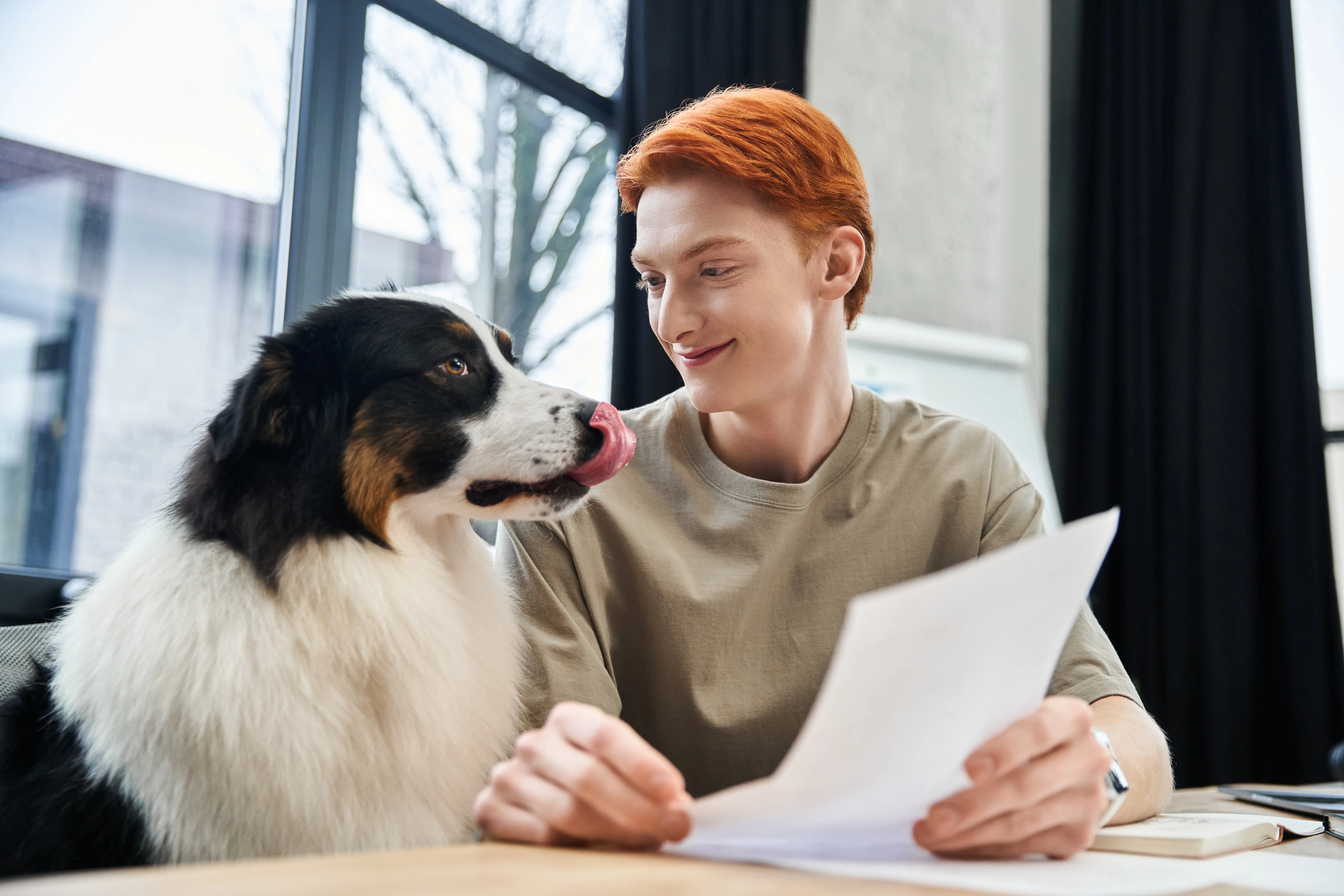 Healthy Paws vs. Fetch: Comparing Coverage, Cost & Claims in 2026