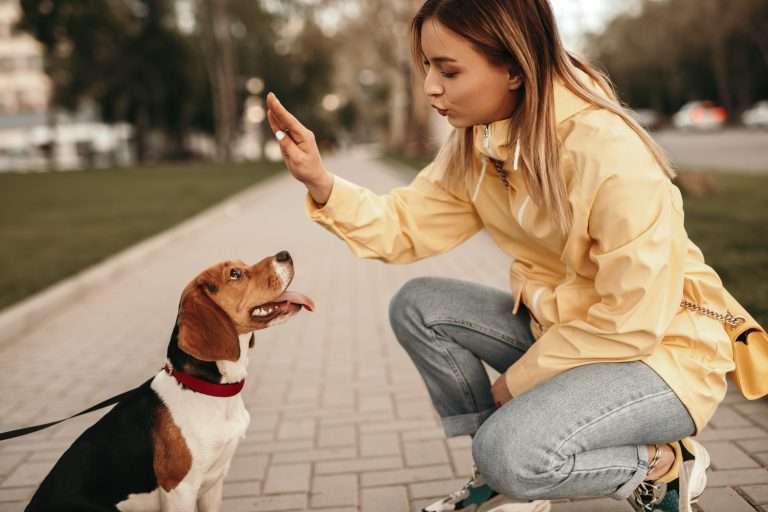 Dog Whistle Training: Teaching The Recall
